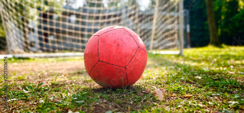 Soccer ball placed in front of the goal on a grassy field