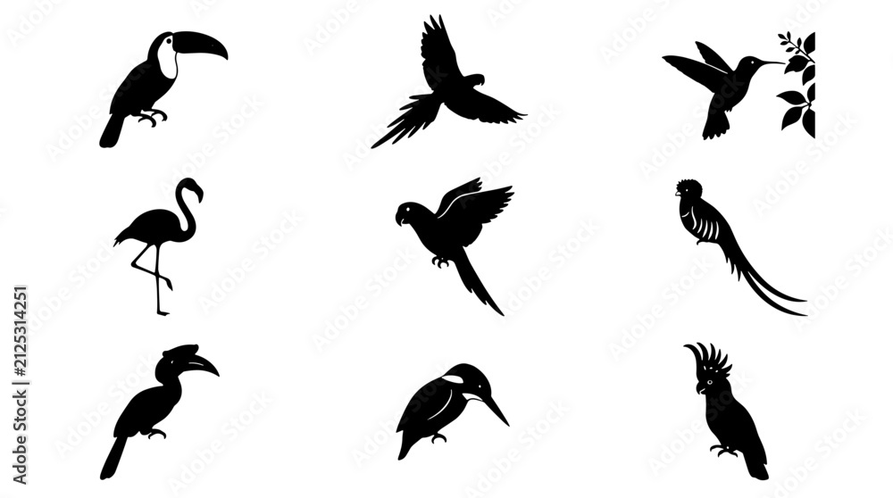 Fototapeta premium Collection of black silhouette birds in various flying and perching poses