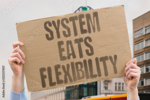 Konstfotografi "System Eats Flexibility" Large structures reduce capacity for change