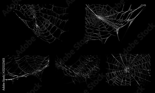 Obraz na plátne Spooky spiderweb collection on black background, creepy cobweb textures for Hall