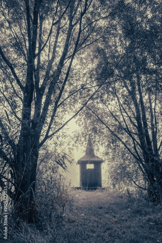 Hut in the forest on a misty morning