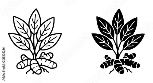 Turmeric Root Plant Icons, Spice Herb Botanical Illustrations, Organic Ingredient Vector Graphics