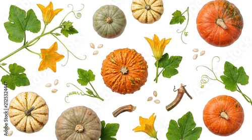 seamless pattern with pumpkins