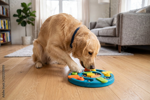 A dog is focused on solving a food puzzle toy placed on a clean floor in a living room. The space is bright with natural light and has a cozy atmosphere