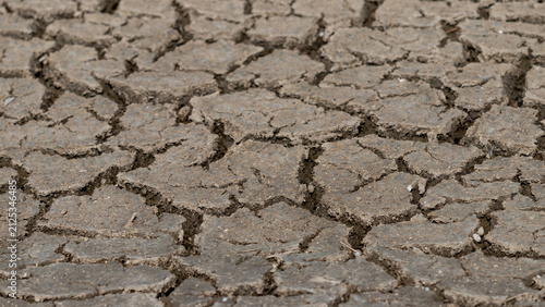 Canvastavla Cracked Earth surface depicting drought and arid natural conditions