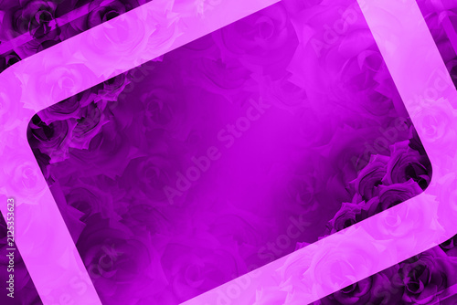 abstract blur rectangular frame with rounded corners the central and blurwhite line on violet rose flowers and purple gradient background, love, valentine, copy space