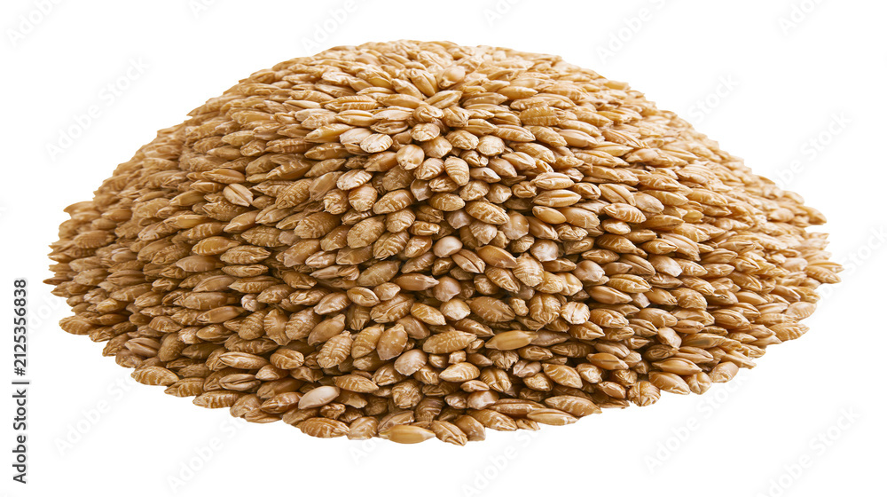 Obraz premium Heap of whole spelt grains, isolated on transparent background