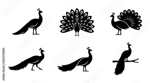 Canvas Print Elegant Peacock Silhouettes, Vector Icons Set