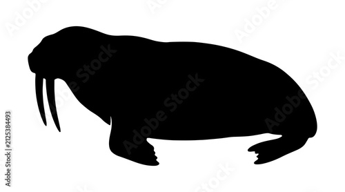 Картината върху платно Silhouette of a walrus