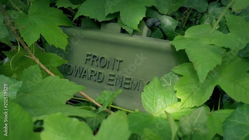 Claymore Mine Hidden In Foliage Military Explosive