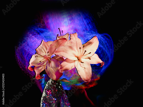 Fotografie Vibrant orange lily blooms against dark background