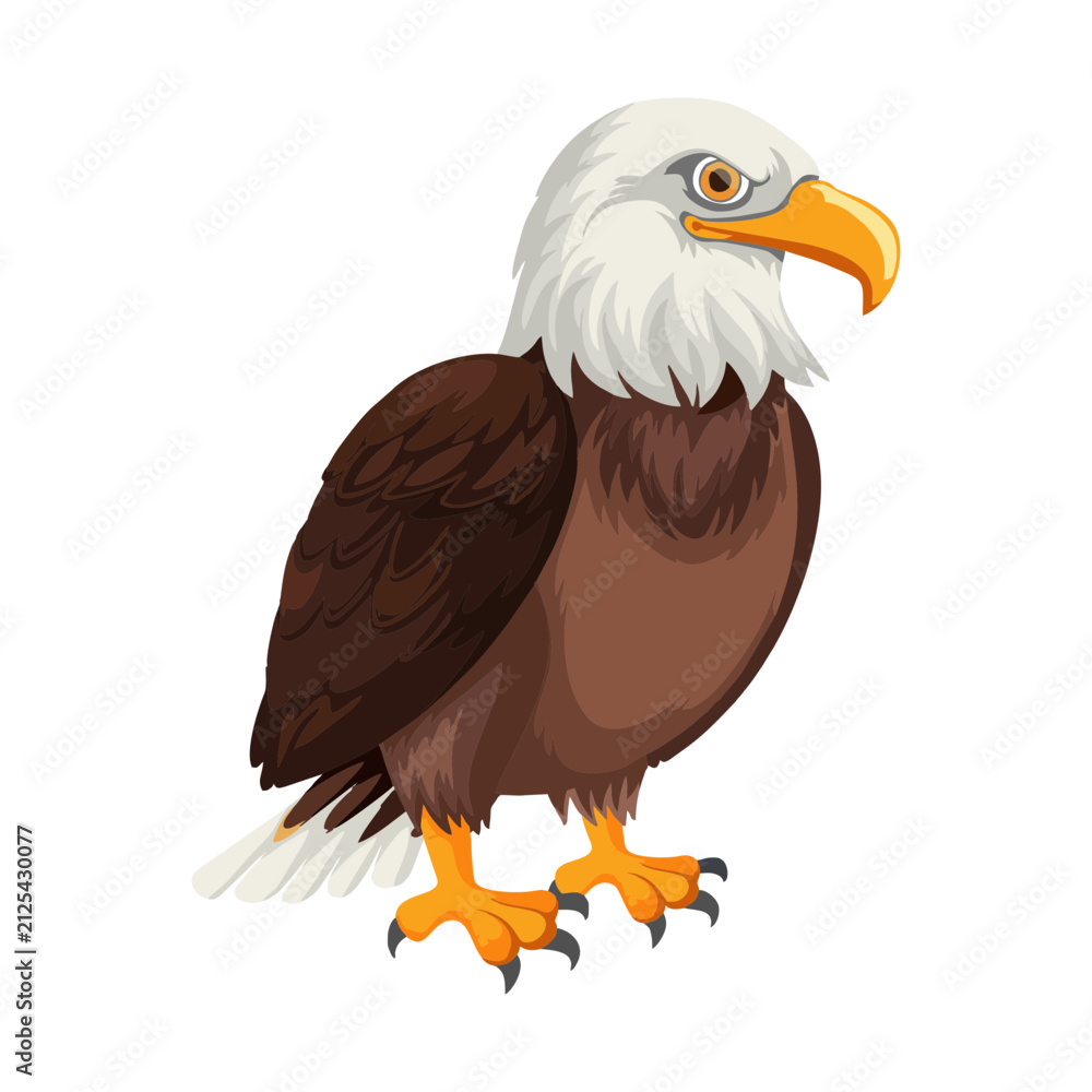 Fototapeta premium bald eagle isolated on white