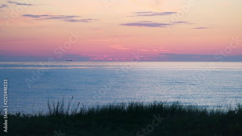 Tranquil ocean sunset with pink and purple sky over calm water and silhouetted shoreline grass