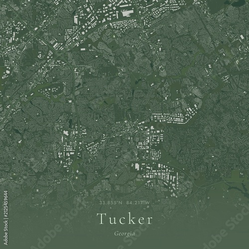 Foto Sage Green Map of Tucker, United States | Modern Scandinavian Wall Art