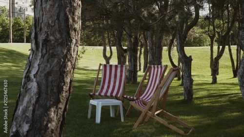 Beach chairs stand on the lawn in the park recreation area on a summer day