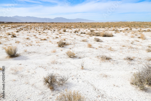 Landscape at Ash Meadows National Wildlife Refuge, Nevada