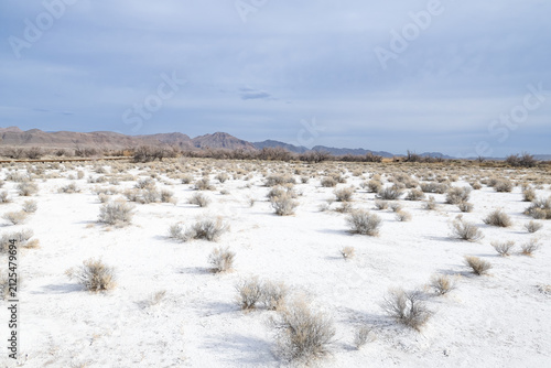 Landscape at Ash Meadows National Wildlife Refuge, Nevada
