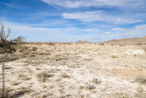 Landscape at Ash Meadows National Wildlife Refuge, Nevada