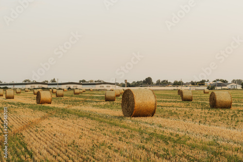 Rows of golden stubble lead toward a solitary hay bale, with more bales, a lone tree and farm buildings across a wide harvested field.