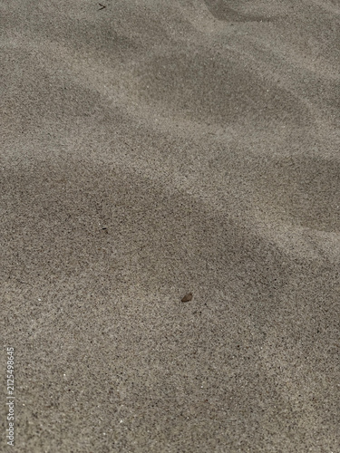 Принти на полотні Close-up view of smooth gray sand surface with gentle natural ripples and wave-l
