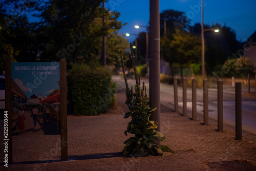 Quiet evening street scene with illuminated signboard in douvres la delivrande