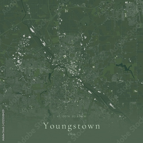 Sage Green Map of Youngstown, United States | Modern Scandinavian Wall Art