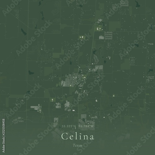 Sage Green Map of Celina, United States | Modern Scandinavian Wall Art