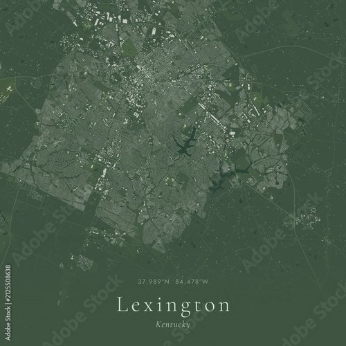 Sage Green Map of Lexington, United States | Modern Scandinavian Wall Art