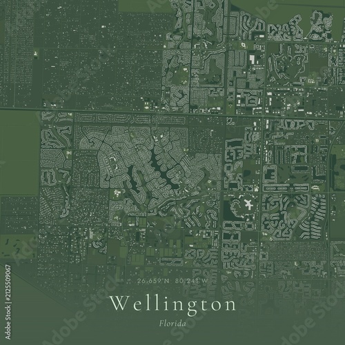 Sage Green Map of Wellington, United States | Modern Scandinavian Wall Art