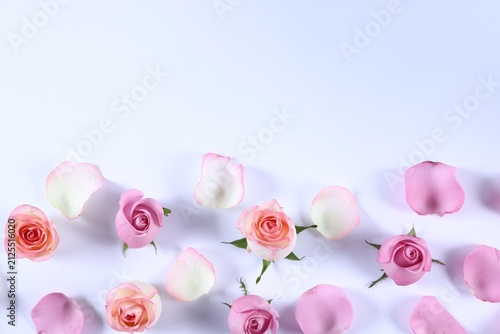 Many pink roses and petals on white background, flat lay. Space for text