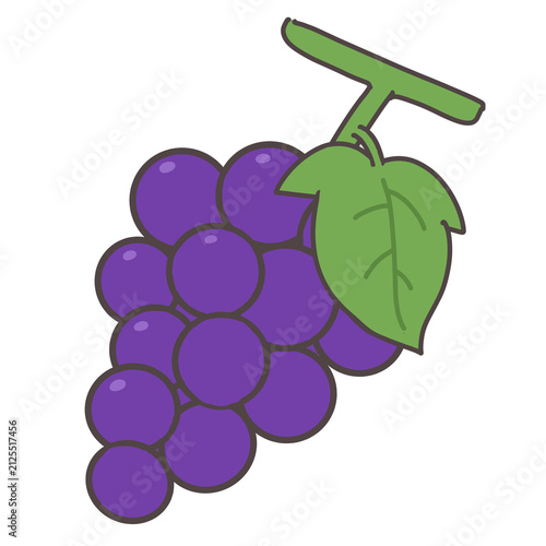 Dark purple grapes illustration. Hand drawn bunch of grapes with leaf and stem isolated on white background for autumn fruit design.