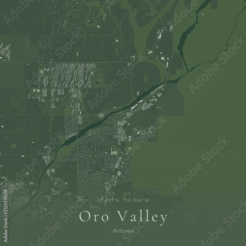 Sage Green Map of Oro Valley, United States | Modern Scandinavian Wall Art