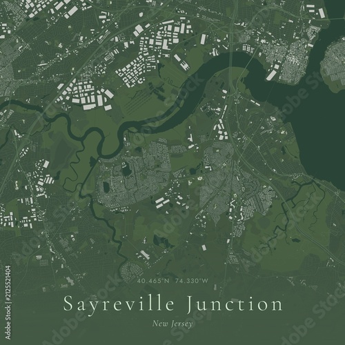 Sage Green Map of Sayreville Junction, United States | Modern Scandinavian Wall Art