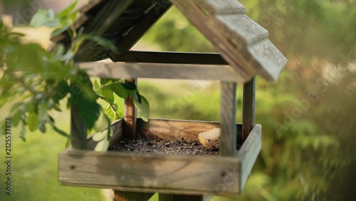 Wooden bird feeder with a small amount of bird seed and a piece of bread, standing outdoors in a natural green garden setting, providing a habitat for wild birds