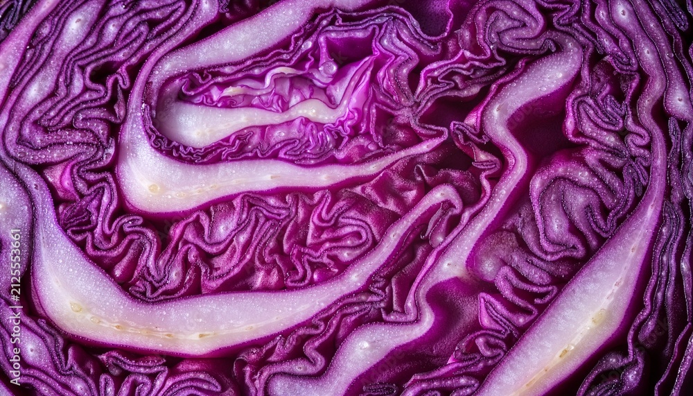 Obraz premium Purple cabbage cross section macro. Suitable for Backgrounds.