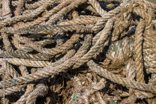 Quadro su tela Close-up top view of a pile of old, weathered, and tangled thick nautical ropes forming a rough background texture