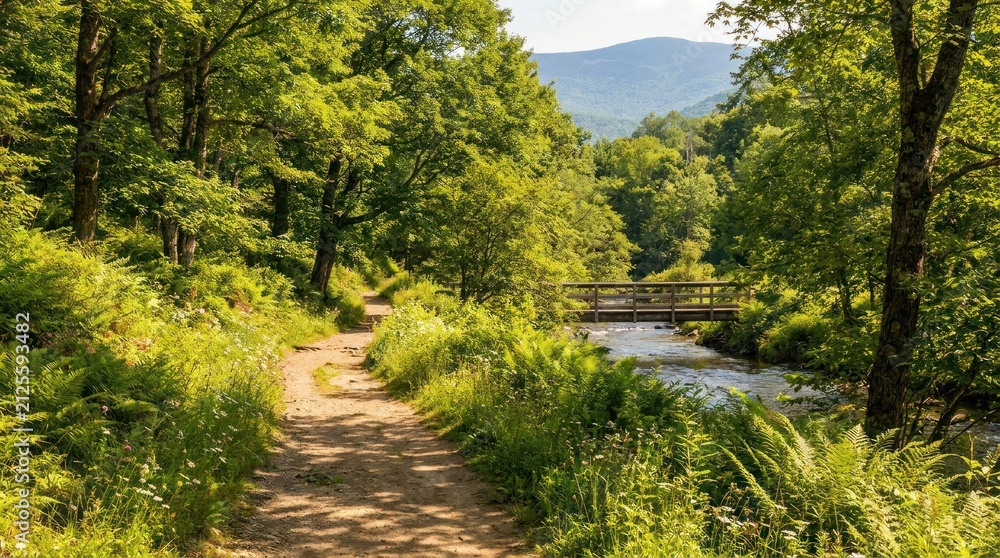 Fototapeta premium peaceful nature walking trail winding through lush green summer landscape