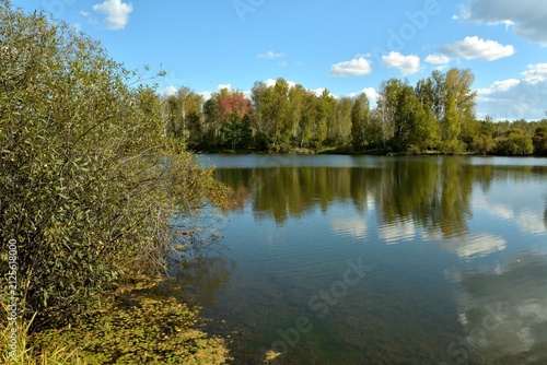 Dense bushes on the shore of a beautiful wide lake, with the forest and sky reflected in the calm water.