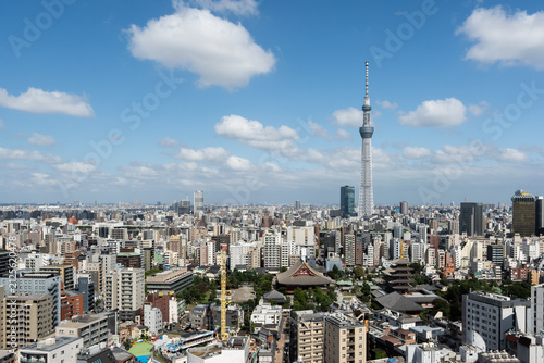 浅草の町と東京スカイツリーの風景