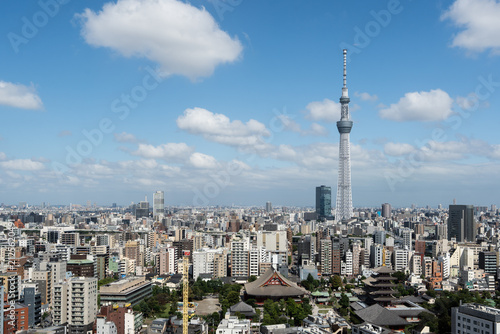 浅草の町と東京スカイツリーの風景