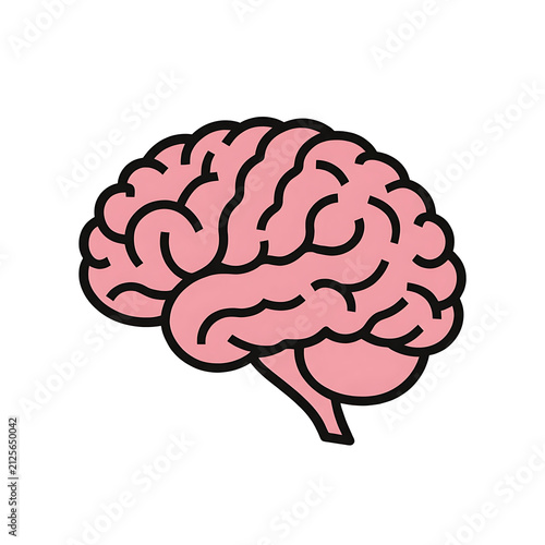 human brain vector illustration