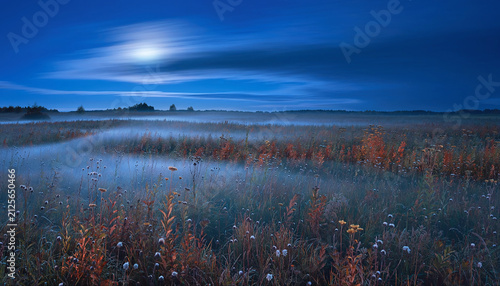 Serene Landscape of a Foggy Field at Dusk with Wildflowers and Trees in the Distance, Capturing the Tranquil Beauty of Nature
