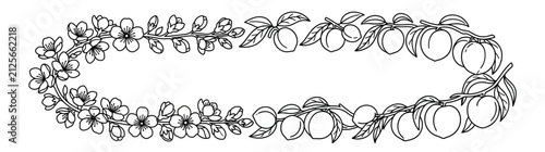 Foto Various Fruits and Flower Frame Vector Sequence 2026 for Coloring Book and Desig