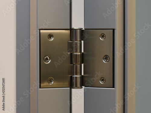 Door hinge with bearing barrel on heavy commercial door edge in modern setting
