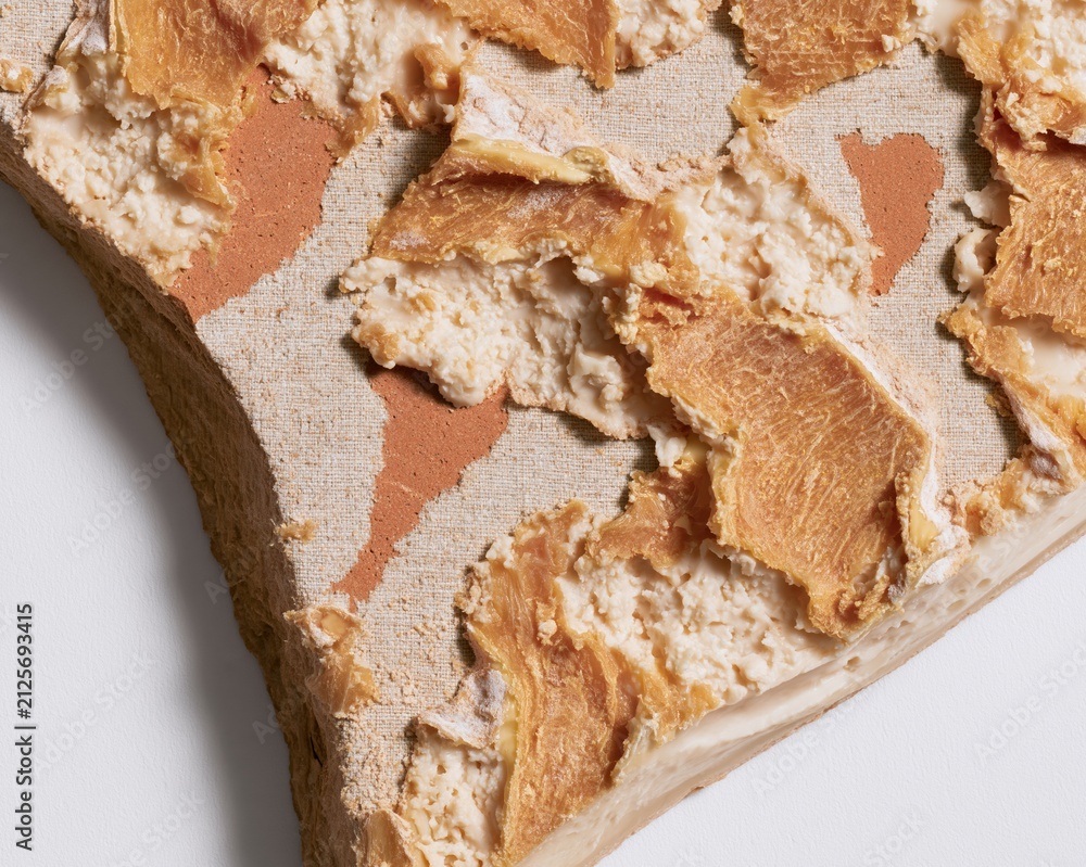 Fototapeta premium Artisan golden cheese rind and crumbly curd on a textured terracotta surface with warm side lighting for gourmet food and dairy design resources