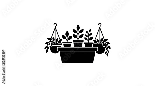 Silhouette of Potted Plants and Hanging Baskets.