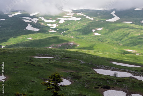 Alpine meadows with new plants blooming on the slopes, with flowers and green vegetation in spring and summer, nature walks
