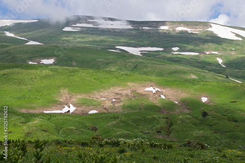Alpine meadows with new plants blooming on the slopes, with flowers and green vegetation in spring and summer, nature walks