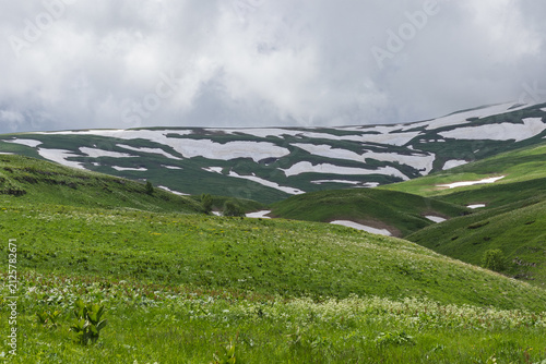 Alpine meadows with new plants blooming on the slopes, with flowers and green vegetation in spring and summer, nature walks