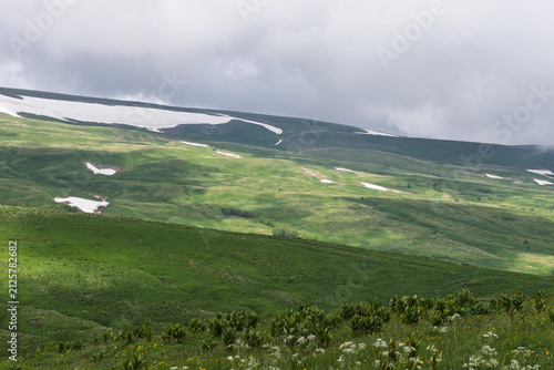 Alpine meadows with new plants blooming on the slopes, with flowers and green vegetation in spring and summer, nature walks